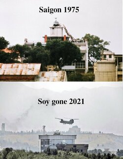 1647775144308.jpg