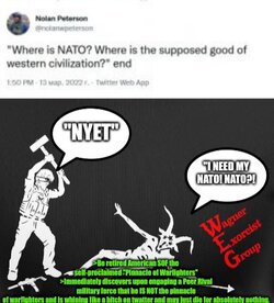 1647776260972.jpg