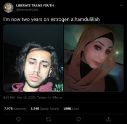 thetranshijabi01.png