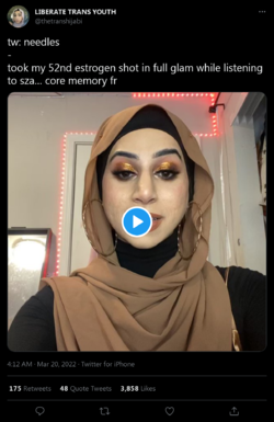 thetranshijabi02a.png