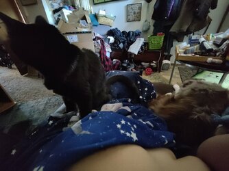 20220321_104037.jpg