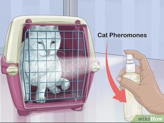 retardedcat.png