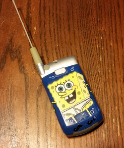 sponge3.jpg