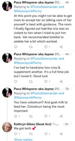 Screenshots_2022-03-21-19-50-51.png