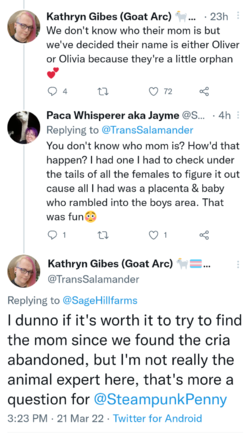 Screenshots_2022-03-21-19-50-33.png