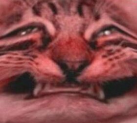 Literally losing my sanity right now.jpg