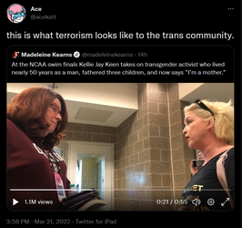 terrorism.png