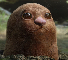 diglett.png