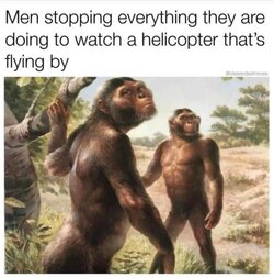 m,..jpg