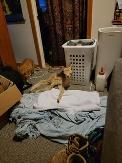 20220322_122316.jpg