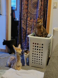 20220322_122311.jpg