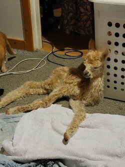 20220322_122317.jpg