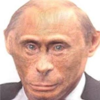 200px-Monkey_Putin.png
