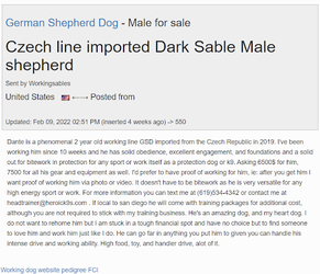 dante for sale feb 2022.png
