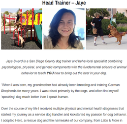 jaye intro 1.png