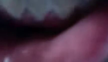 1648006473602.png