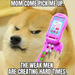 277004725_5062940063754823_7995363849712917530_n.jpg
