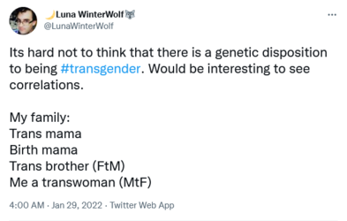 Luna WinterWolffamily.png