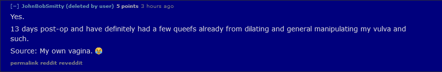 Screenshot 2022-03-23 at 17-50-26 Can post bottom surgery trans women queef.png
