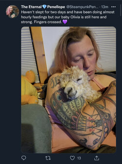 F0016781-093C-48B1-B740-45D6666E92D4.jpeg