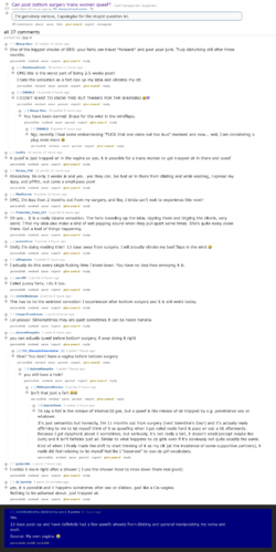 queefingeuphoria.png