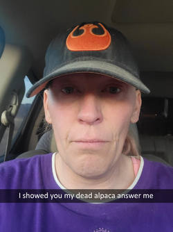 dead alpaca.png