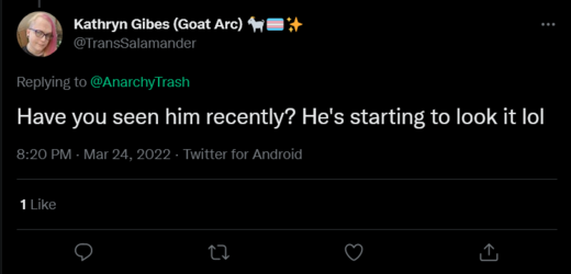 Screenshot 2022-03-25 at 22-46-05 Kathryn Gibes (Goat Arc) 🐐🏳️‍⚧️✨ on Twitter.png
