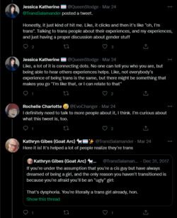 Screenshot 2022-03-25 at 22-50-25 Kathryn Gibes (Goat Arc) 🐐🏳️‍⚧️✨ on Twitter.png