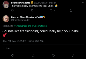 Screenshot 2022-03-25 at 22-51-01 Kathryn Gibes (Goat Arc) 🐐🏳️‍⚧️✨ on Twitter.png