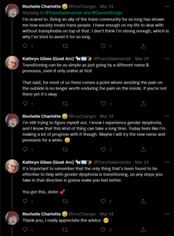 Screenshot 2022-03-25 at 22-51-59 Kathryn Gibes (Goat Arc) 🐐🏳️‍⚧️✨ on Twitter.png