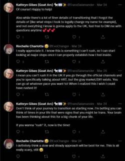 Screenshot 2022-03-25 at 22-52-29 Kathryn Gibes (Goat Arc) 🐐🏳️‍⚧️✨ on Twitter.png