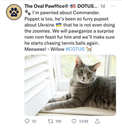AE378E10-7EFF-4DCD-90B1-A62F6684EE9C.jpeg