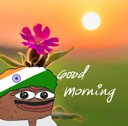 bb160564620dc725.jpg