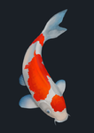 281679D8-1BC6-4F74-B2D5-537EE79DA460.png