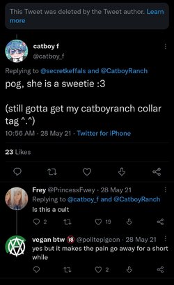 FOzOIYvWYAYCJJX.jpg
