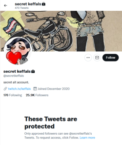 1648335503863.png
