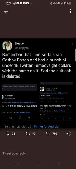 Screenshot_20220327-003448_Twitter.jpg