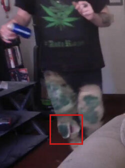 pants2.jpg