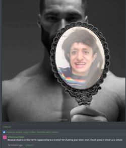 ffvddfvsvds.png