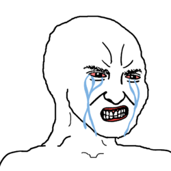 keffals_wojak_grit_malding.png