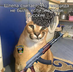16484054852720.png