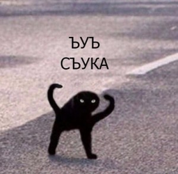 16484167689550.png