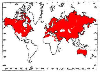 fox-distribution.png