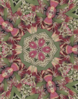 164852403716692589 (2).png