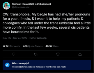 pronoun badges.PNG