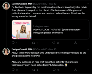 TW pelvic floor.PNG