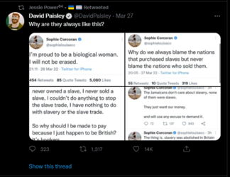 bitchy David.PNG