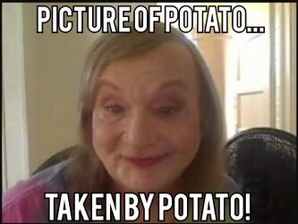 potatohead.jpg
