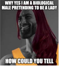 Screenshot 2022-03-29 at 17-51-53 Meme Generator - Imgflip.png