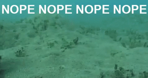 nopetopus-octopus.gif